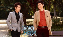 家和万事兴电视剧全集剧情介绍,温情演绎家庭和谐之道