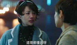 电视剧我的前半生演员表,实力派明星齐聚一堂